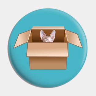 Sphynx Kitten Peeking from Cardboard Box Pin