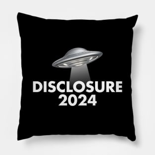 Disclosure 2024 Pillow