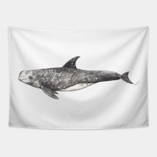 Risso´s dolphin Grampus griseus Tapestry