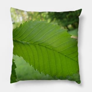 Green leaf Pillow