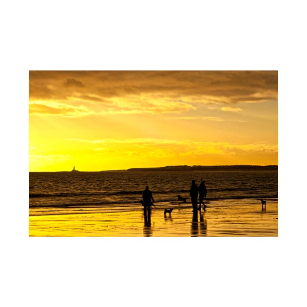 Dog walkers on the beach at sunrise by Violaman