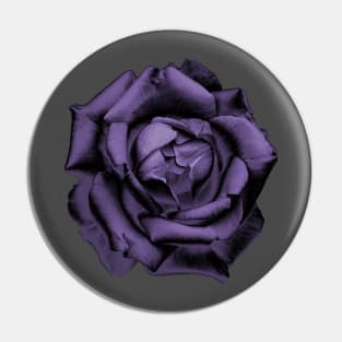 Purple Charcoal Rose Pin