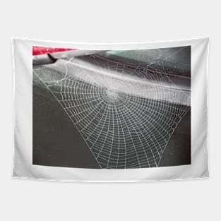 Web Tapestry