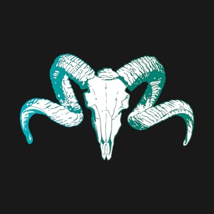 Skull (aquamarine) T-Shirt