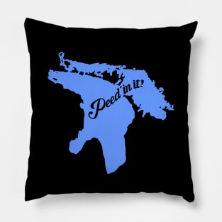 Lake Huron Life Pillow