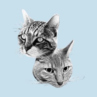 Cats!!! T-Shirt