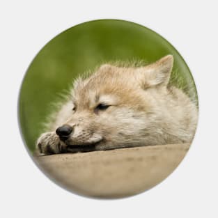 Arctic Wolf Pup Pin