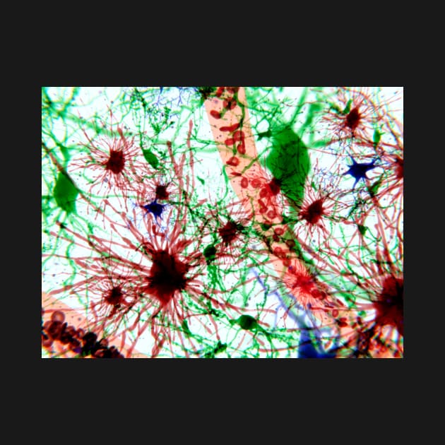 Brain cells, illustration (F013/1488) by SciencePhoto