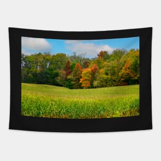 autumn landscape in the countryside Tapestry