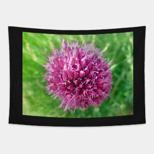 Pink flower Tapestry