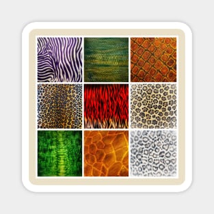 Wildlife Skins Series Magnet