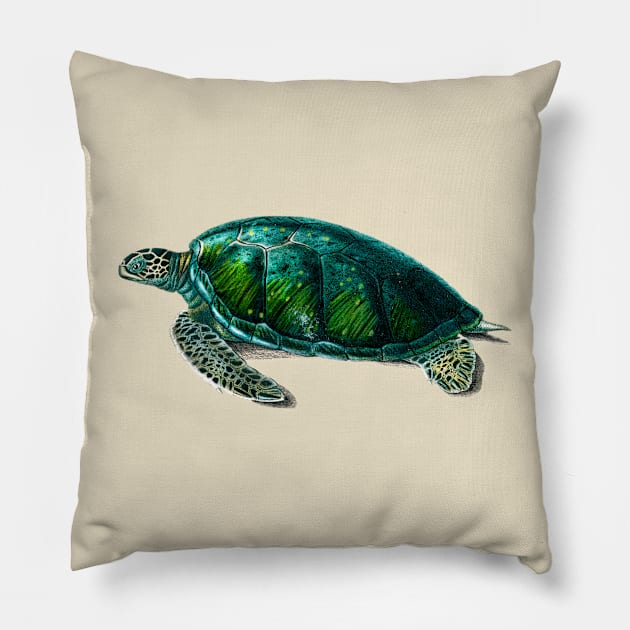 Vintage green sea turtle-animalia Pillow by Phantom Troupe