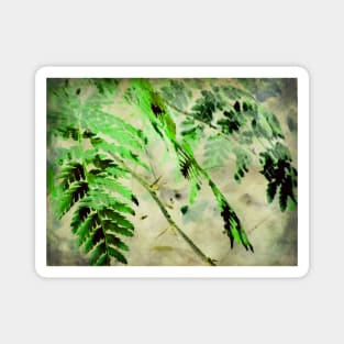 December Fern Magnet