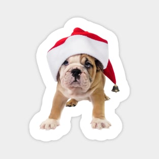 Pug Puppy Santa Claws Magnet