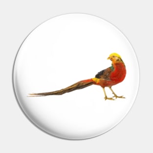 Golden Pheasant Digital Painting Pin