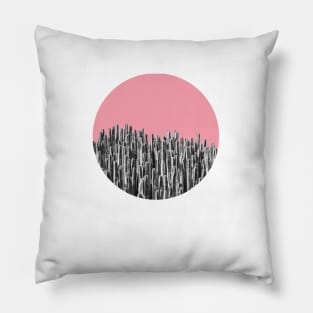 Cacti 02 Pillow