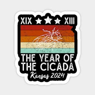 Great Cicada The Year Of Cicada 2024 XIX XIII USA Kansas Magnet