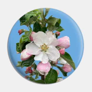 Apple Blossom Pin