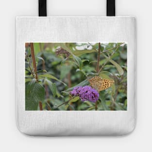 A beautiful butterfly perched on a purple flower Tote