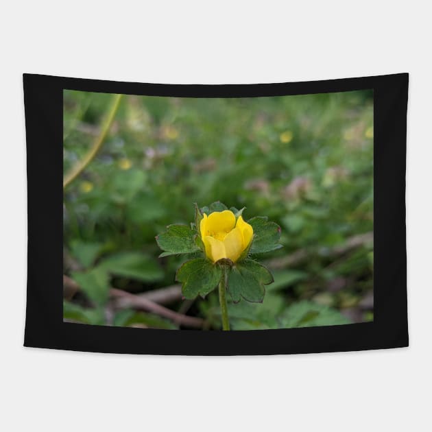 Wild Strawberry Bloom 1 Tapestry by AustaArt