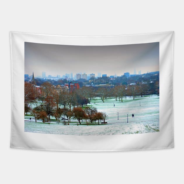 London Skyline Cityscape Primrose Hill Tapestry by AndyEvansPhotos