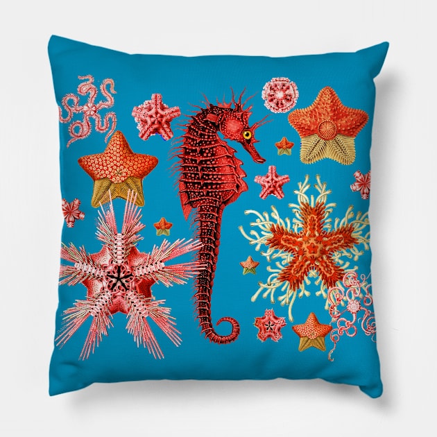 RED SEAHORSE AND SEASTARS IN AQUA BLUE Sea Life Pillow by BulganLumini