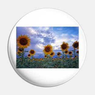 Evening Sunflowers Pin