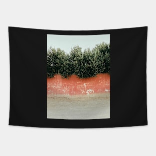 Olive Trees Behind Red Wall Tapestry