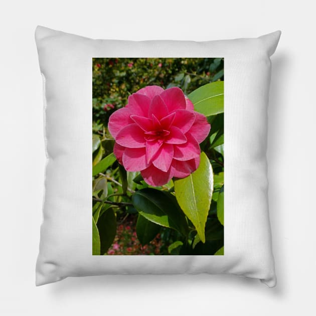 Camellia Pillow by pinkal