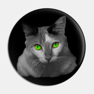 white cat green eyes Pin