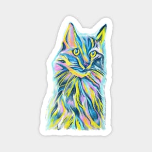 Colorful Cat Magnet