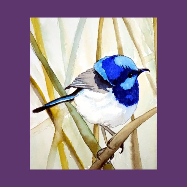 Blue Wren by smartartdesigns