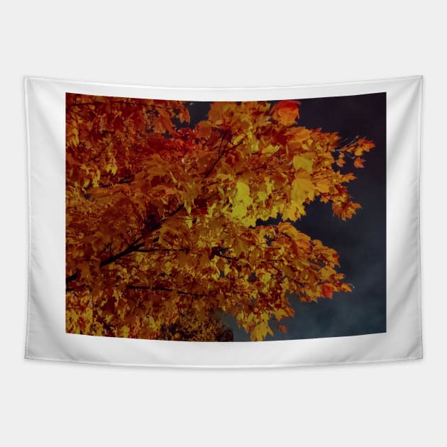 Autumn leaves and cloudy sky Tapestry by srosu