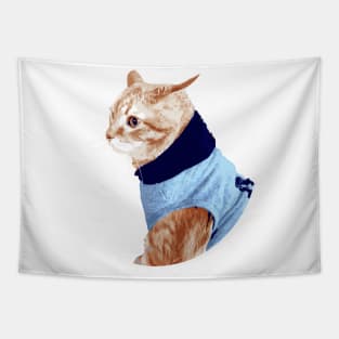 Cat in Sweater Tapestry