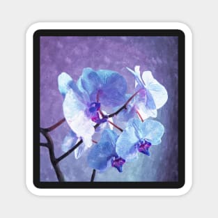 Blue Orchid-Art Prints-Mugs,Cases,Duvets,T Shirts,Stickers,etc Magnet