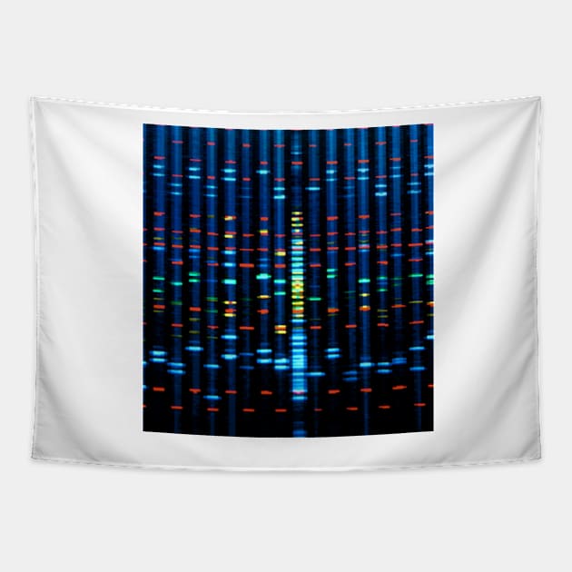 DNA sequence on a computer monitor screen (G210/0734) Tapestry by SciencePhoto