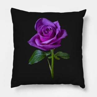 Rose Pillow