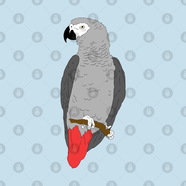 African Grey Parrot on Perch by Einstein Parrot