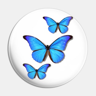 Rhetenor Blue Morpho (Morpho rhetenor) Pin