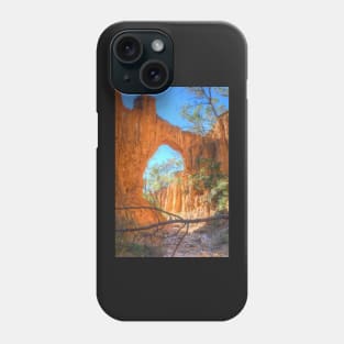 Through The Arch At Golden Gully Phone Case