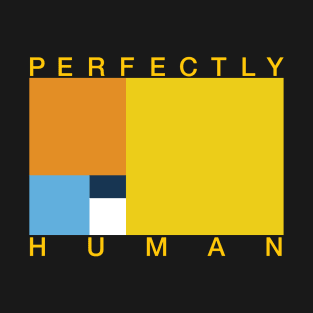 Perfectly Human - Aroace Pride Flag T-Shirt