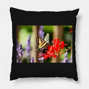 Swallowtail butterfly on crocosmia Pillow