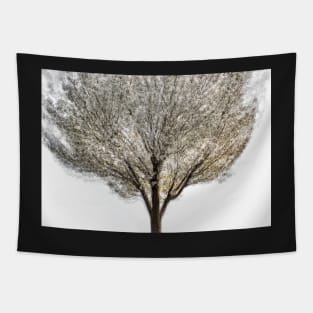 Cherry Tree Multiple Exposure Abstract Tapestry