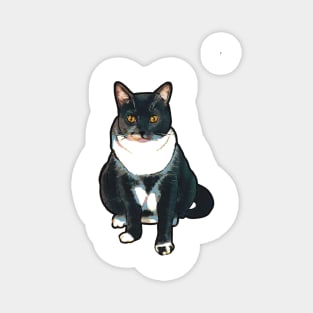 Judgmental Tuxedo Cat Magnet