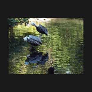 Exotic Bird and Reflection, Bronx Zoo, Bronx New York T-Shirt