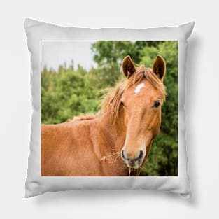 332015 handsome Pillow