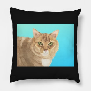 GORGEOUS LONG-HAIRED CAT WITH GREEN EYES - Watercolor Painting Pillow