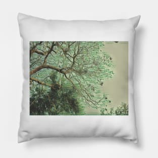 Money Doesn't Grow on Trees Pillow