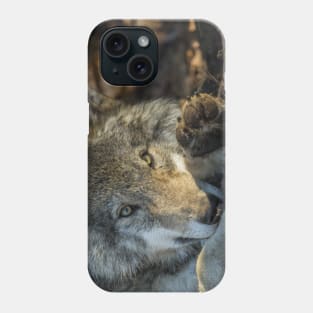 Timber Wolf Phone Case