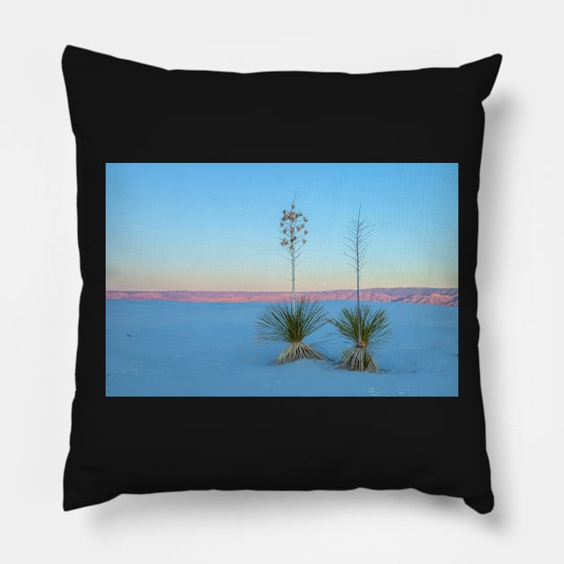 couple yuccas Pillow by jvnimages